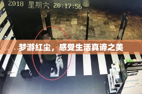 梦游红尘，感受生活真谛之美
