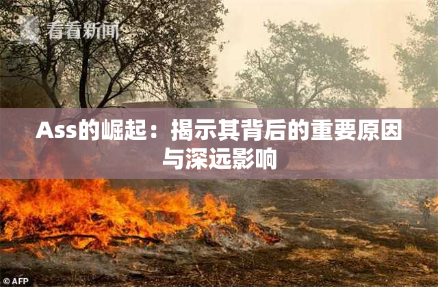 Ass的崛起：揭示其背后的重要原因与深远影响