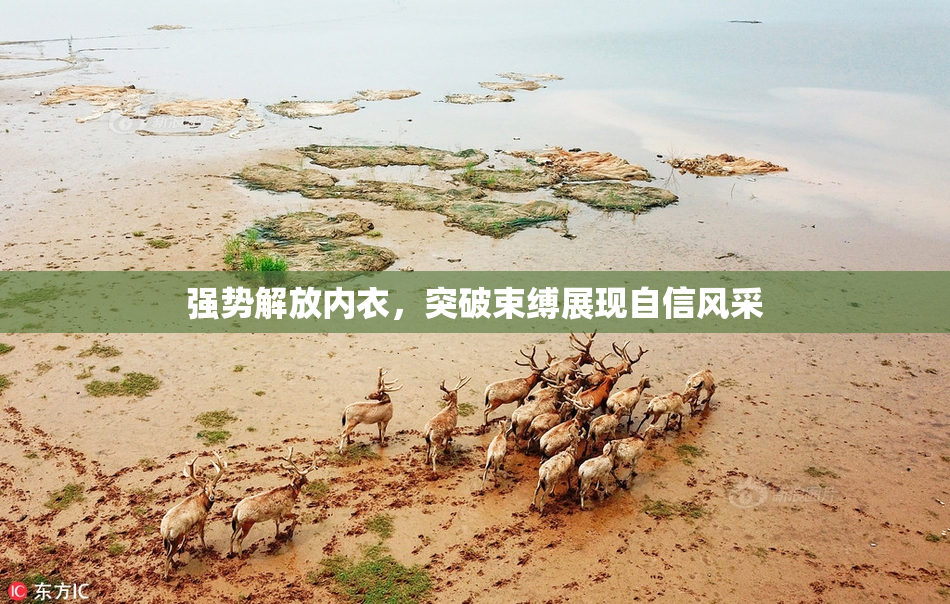 强势解放内衣，突破束缚展现自信风采