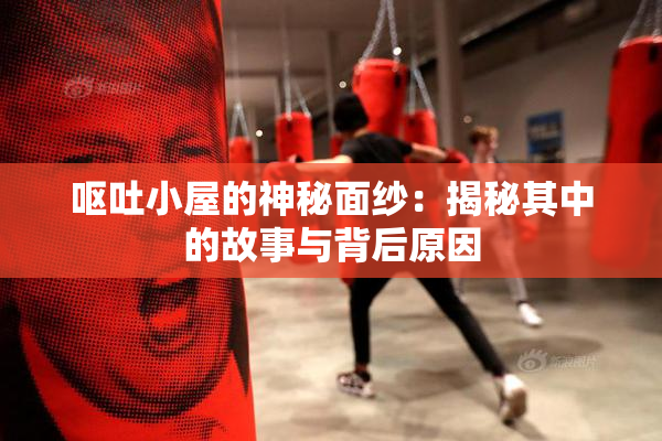 呕吐小屋的神秘面纱：揭秘其中的故事与背后原因