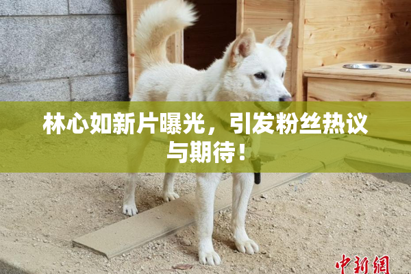 林心如新片曝光，引发粉丝热议与期待！