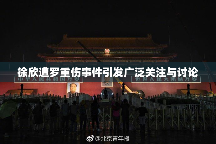 徐欣遭罗重伤事件引发广泛关注与讨论