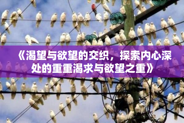 《渴望与欲望的交织，探索内心深处的重重渴求与欲望之重》