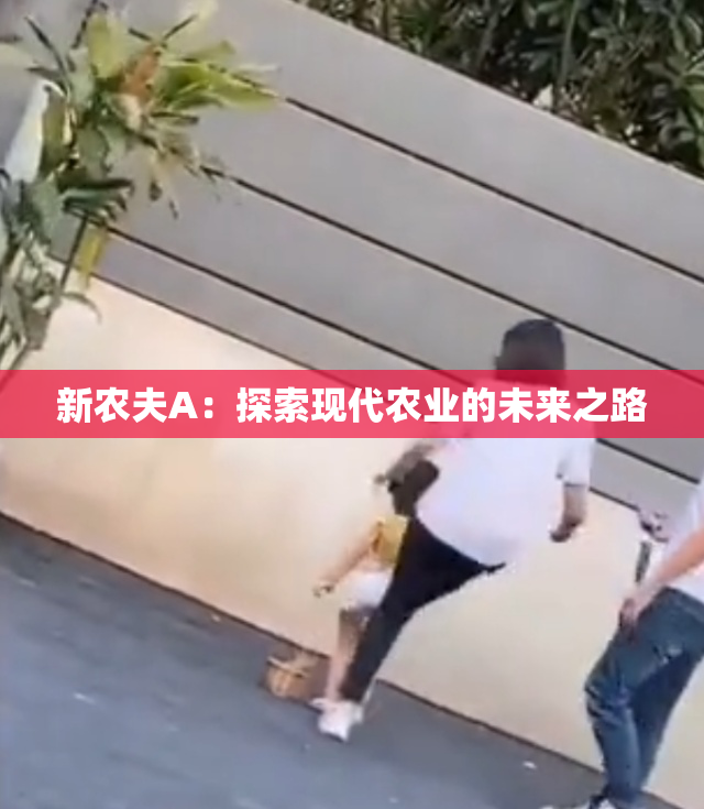 新农夫A：探索现代农业的未来之路
