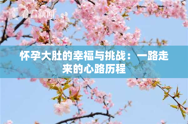 怀孕大肚的幸福与挑战：一路走来的心路历程
