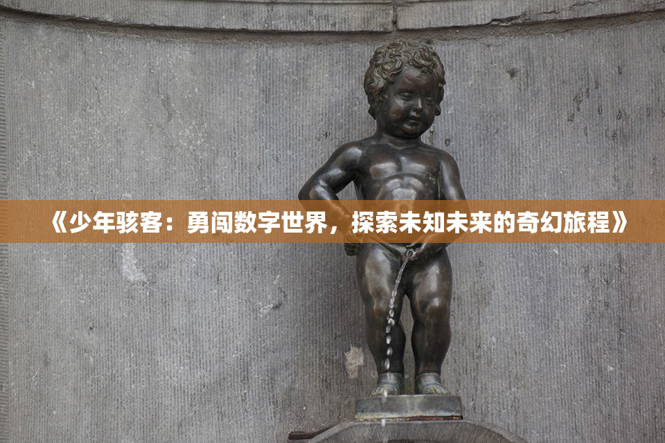 《少年骇客：勇闯数字世界，探索未知未来的奇幻旅程》