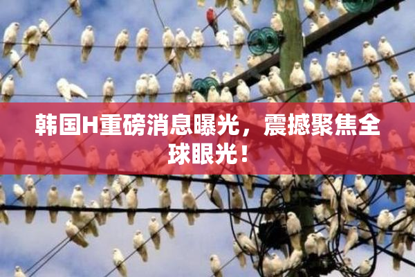 韩国H重磅消息曝光，震撼聚焦全球眼光！
