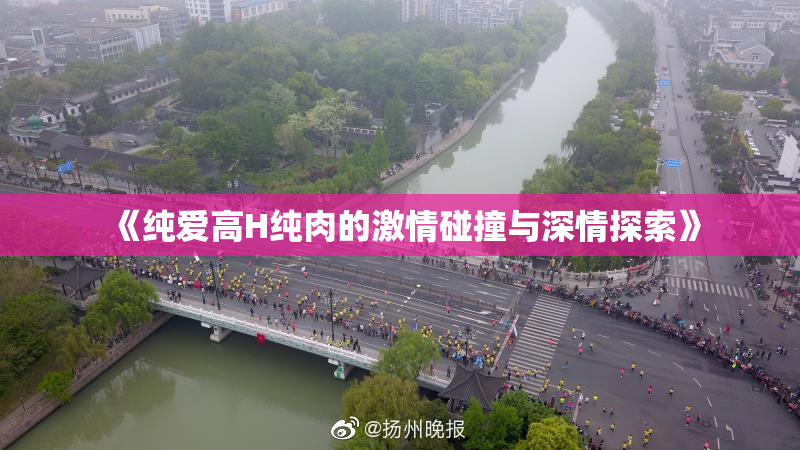 《纯爱高H纯肉的激情碰撞与深情探索》