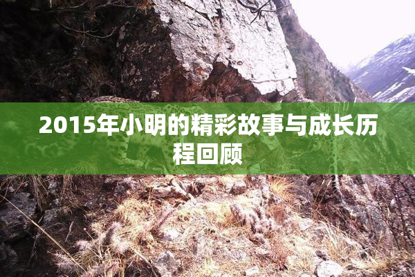 2015年小明的精彩故事与成长历程回顾