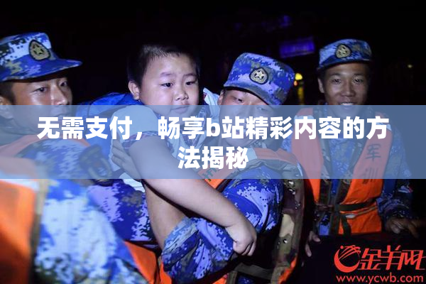 无需支付，畅享b站精彩内容的方法揭秘