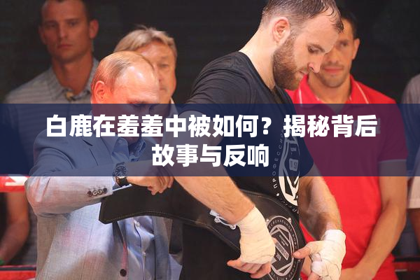 白鹿在羞羞中被如何？揭秘背后故事与反响