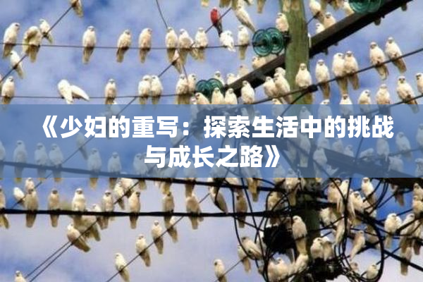 《少妇的重写：探索生活中的挑战与成长之路》