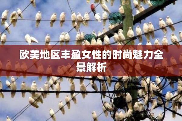 欧美地区丰盈女性的时尚魅力全景解析