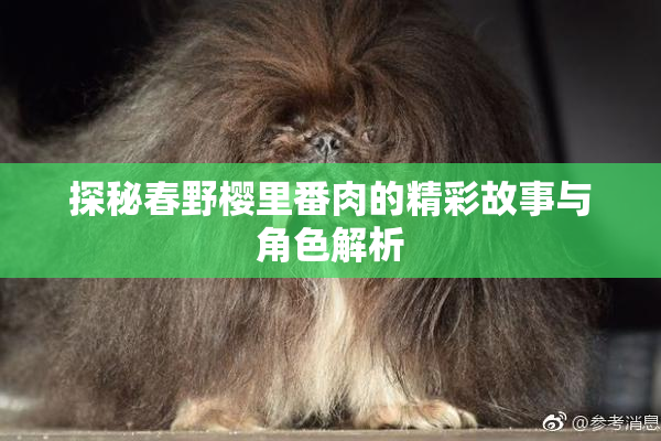 探秘春野樱里番肉的精彩故事与角色解析