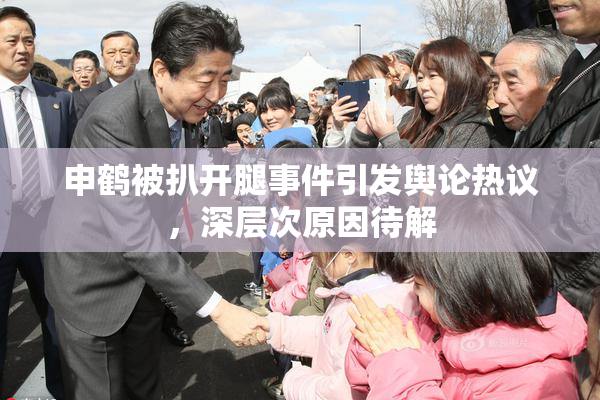 申鹤被扒开腿事件引发舆论热议，深层次原因待解