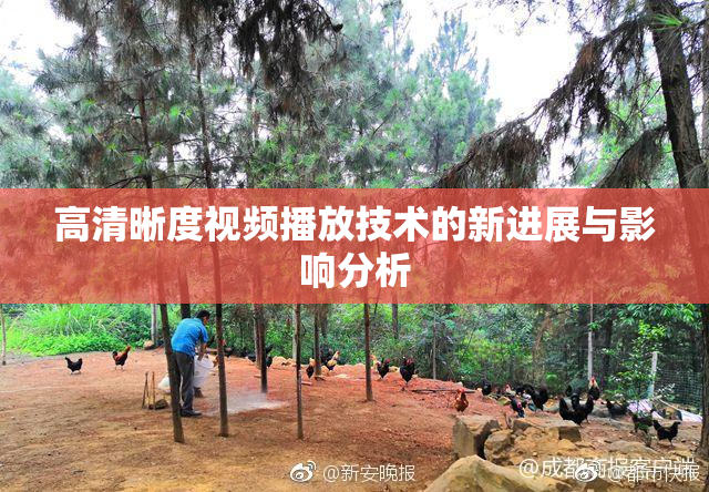 高清晰度视频播放技术的新进展与影响分析