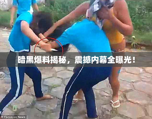 暗黑爆料揭秘，震撼内幕全曝光！