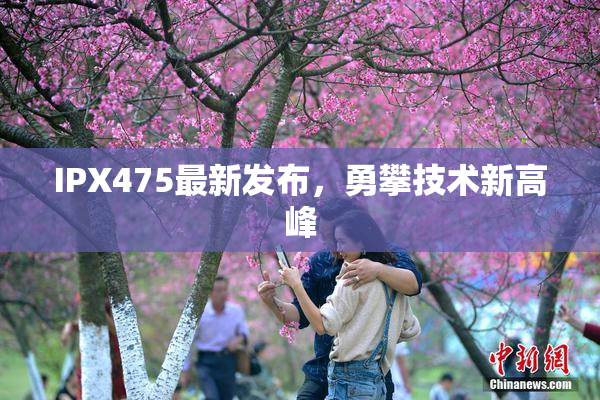 IPX475最新发布，勇攀技术新高峰
