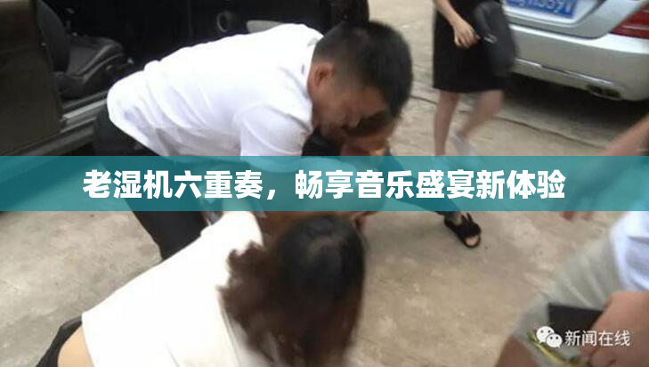 老湿机六重奏，畅享音乐盛宴新体验