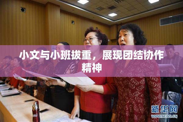 小文与小班拔重，展现团结协作精神