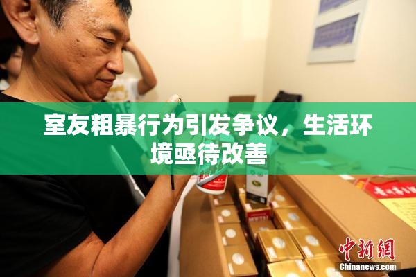 室友粗暴行为引发争议，生活环境亟待改善