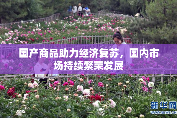 国产商品助力经济复苏，国内市场持续繁荣发展