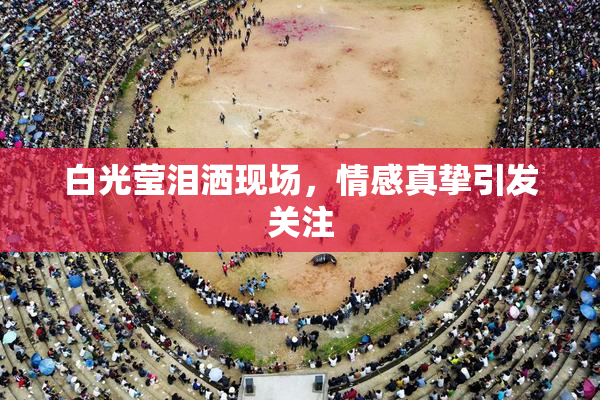 白光莹泪洒现场，情感真挚引发关注