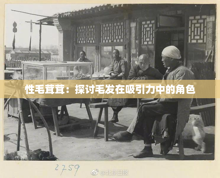 性毛茸茸：探讨毛发在吸引力中的角色