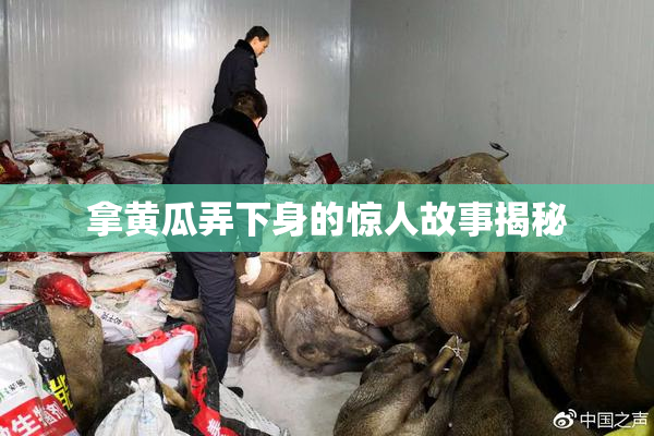 拿黄瓜弄下身的惊人故事揭秘