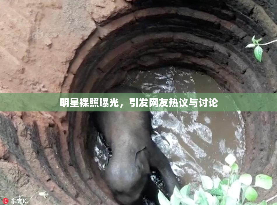 明星裸照曝光，引发网友热议与讨论