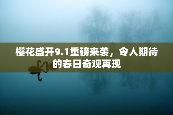 樱花盛开9.1重磅来袭，令人期待的春日奇观再现