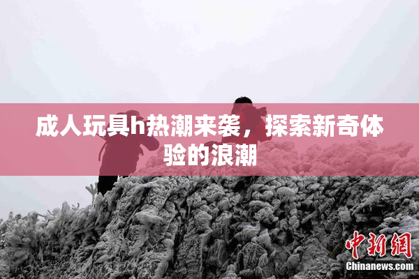 成人玩具h热潮来袭，探索新奇体验的浪潮