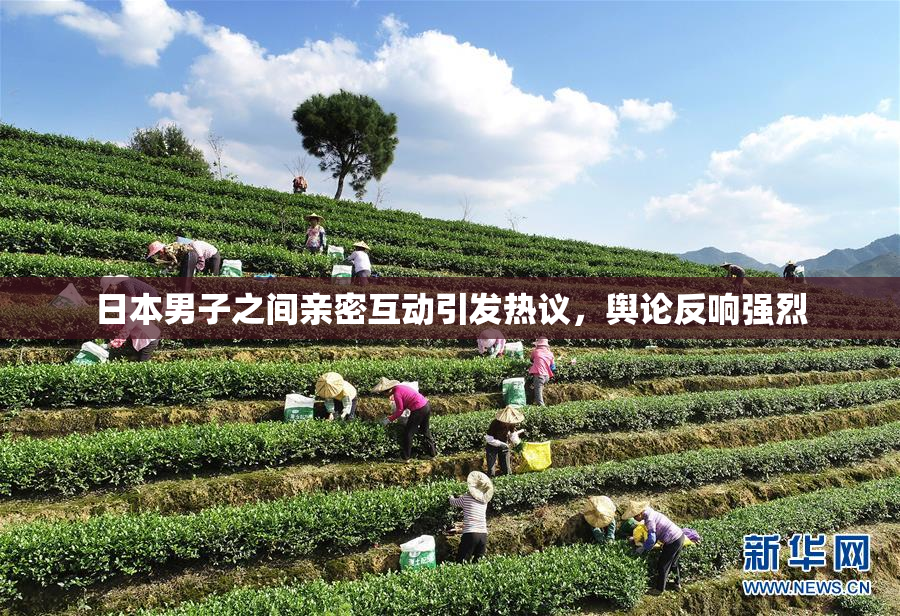 日本男子之间亲密互动引发热议，舆论反响强烈