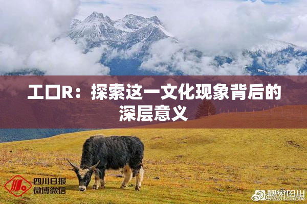 工口R：探索这一文化现象背后的深层意义