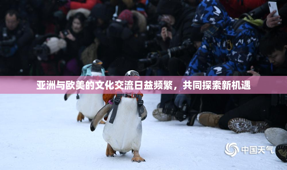 亚洲与欧美的文化交流日益频繁，共同探索新机遇