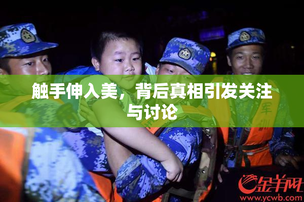 触手伸入美，背后真相引发关注与讨论