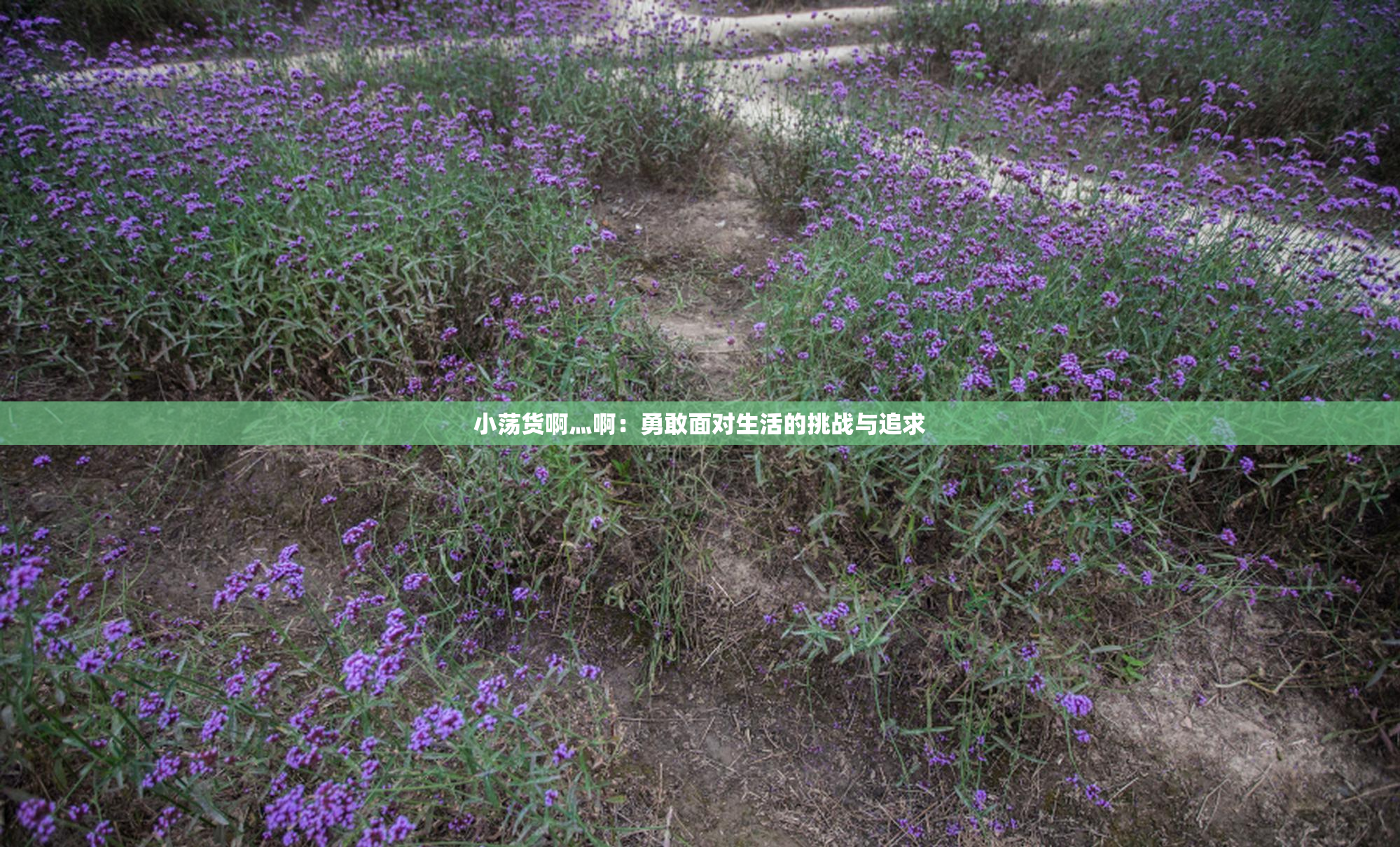 小荡货啊灬啊：勇敢面对生活的挑战与追求