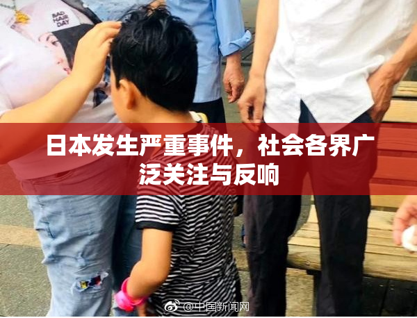 日本发生严重事件，社会各界广泛关注与反响