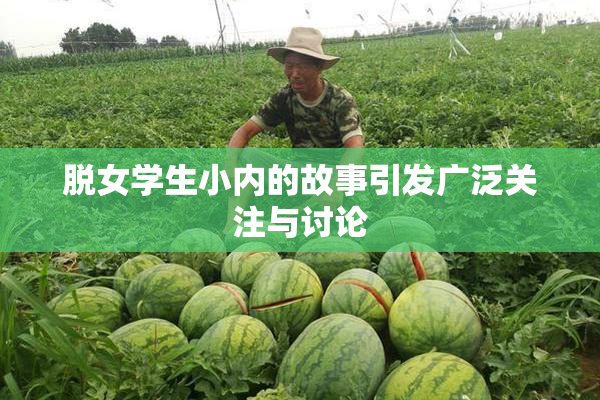 脱女学生小内的故事引发广泛关注与讨论