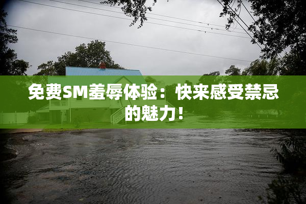免费SM羞辱体验：快来感受禁忌的魅力！
