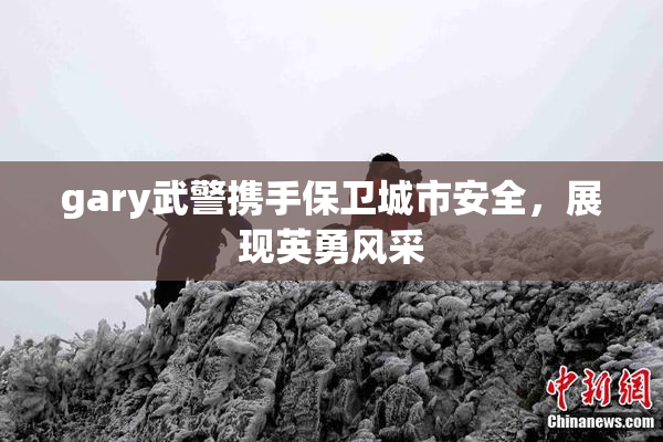 gary武警携手保卫城市安全，展现英勇风采