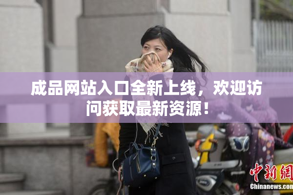 成品网站入口全新上线，欢迎访问获取最新资源！