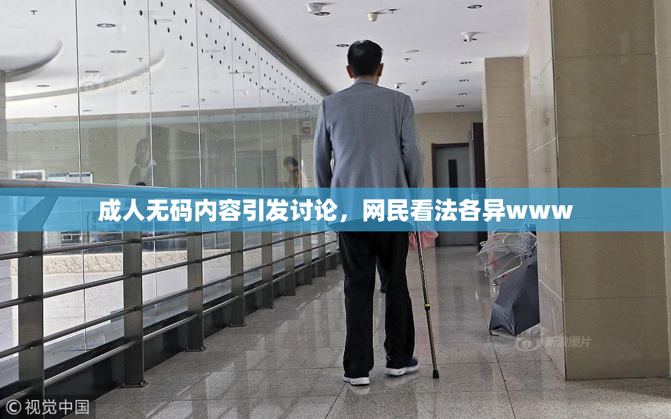 成人无码内容引发讨论，网民看法各异www
