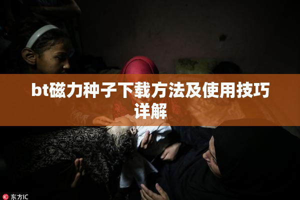bt磁力种子下载方法及使用技巧详解
