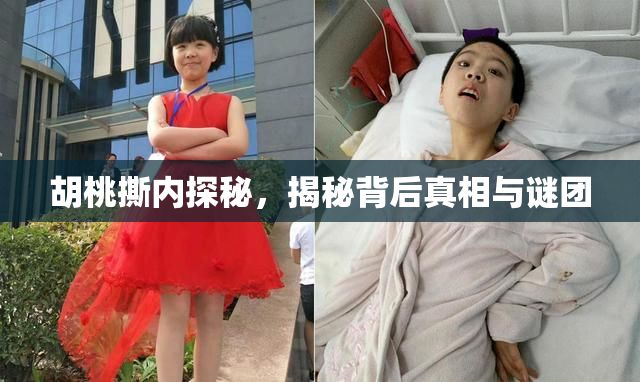 胡桃撕内探秘，揭秘背后真相与谜团