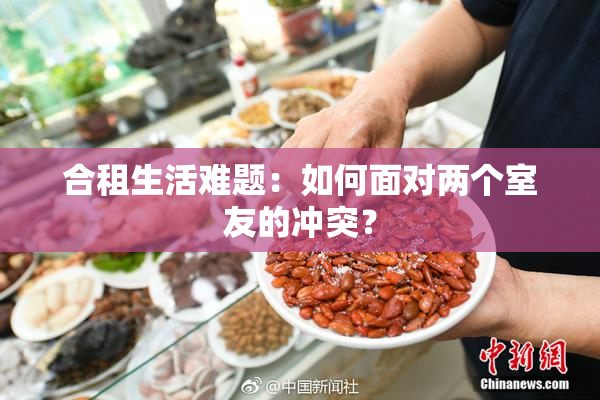 合租生活难题：如何面对两个室友的冲突？