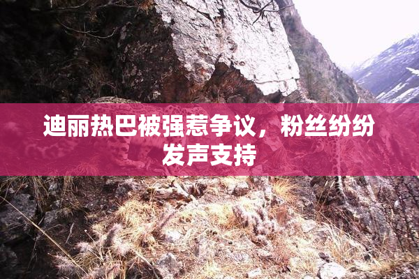 迪丽热巴被强惹争议，粉丝纷纷发声支持