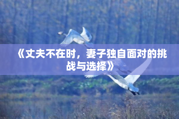 《丈夫不在时，妻子独自面对的挑战与选择》