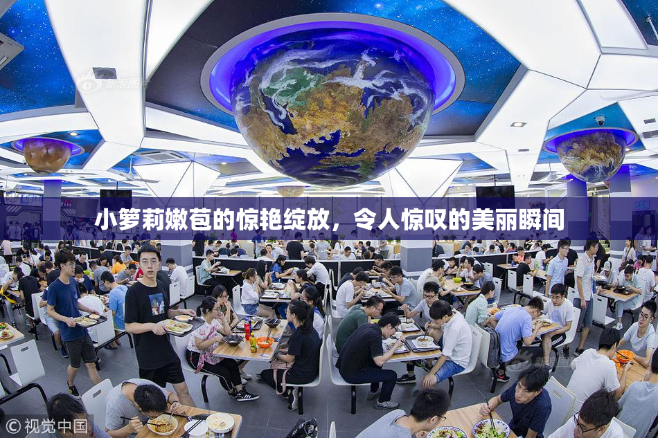 小箩莉嫩苞的惊艳绽放，令人惊叹的美丽瞬间