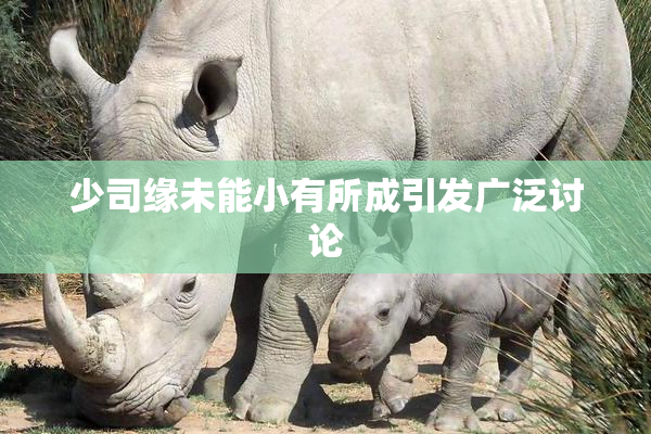 少司缘未能小有所成引发广泛讨论